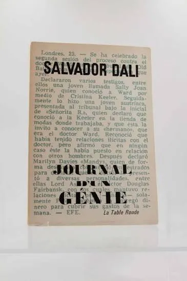 Couverture de Journal d'un génie