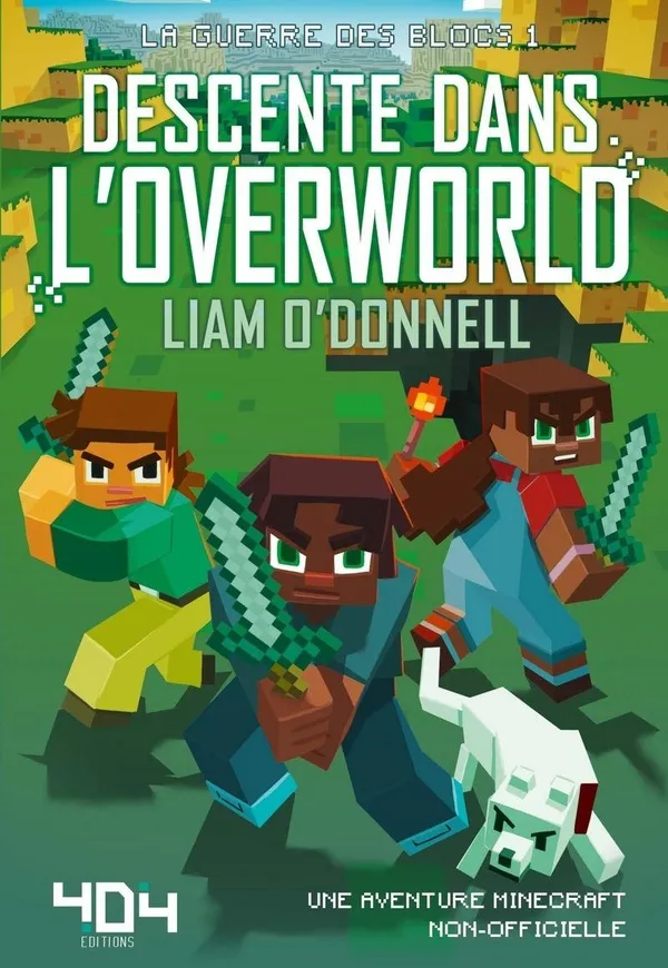 Couverture de Descente dans l'overworld