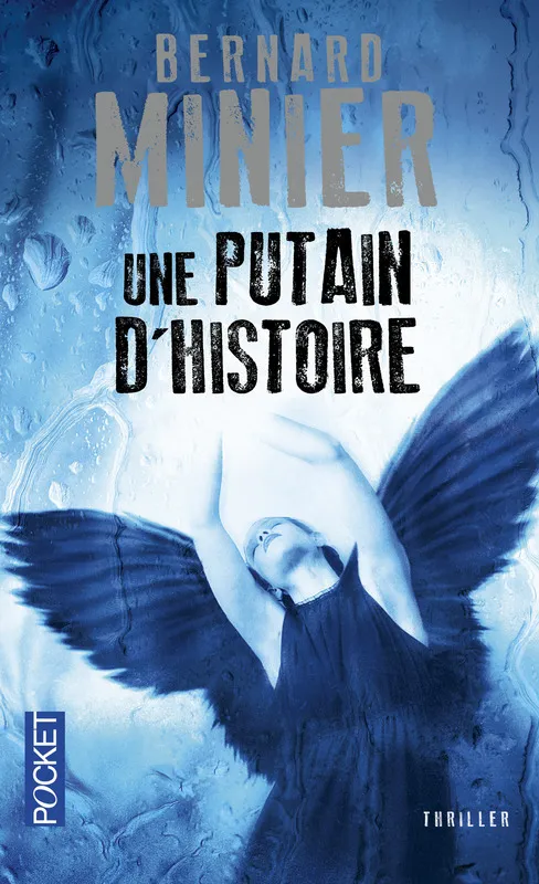Couverture de Une putain d'histoire