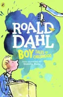 Couverture de Boy